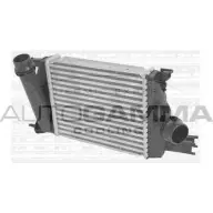 Интеркулер AUTOGAMMA PKMB5F 107741 Y5M DB 1271107088