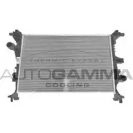 Радиатор охлаждения двигателя AUTOGAMMA 107751 1271107114 MXZK4GJ WU 0TE