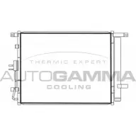 Радиатор кондиционера AUTOGAMMA DY8XM8B 1271107298 X57 HN 107783