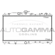 Радиатор охлаждения двигателя AUTOGAMMA Q1241MR HN0 C5 1271107482 107842