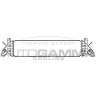 Интеркулер AUTOGAMMA 83JAZT9 W4H A1DK 1271107772 107912