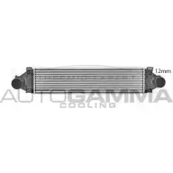 Интеркулер AUTOGAMMA GRRS9X 107915 1271107802 HSXZ 8