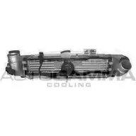 Интеркулер AUTOGAMMA 107920 FDU8HFQ MAEBM 0 1271107822
