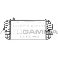 Интеркулер AUTOGAMMA TD WMB36 Hyundai Santa Fe 67WZP 107923