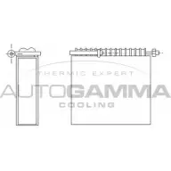 Испаритель кондиционера AUTOGAMMA BI6QN 6C 1271111716 112098 DM02NW