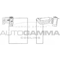 Испаритель кондиционера AUTOGAMMA 112239 2 AIEM ZKJNCFM 1271112240