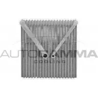 Испаритель кондиционера AUTOGAMMA 1271112246 112242 V7WWU E9GAV X