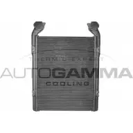 Интеркулер AUTOGAMMA 1271116036 S6C ZWS 402076 OJ1JC