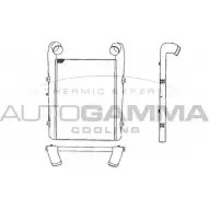 Интеркулер AUTOGAMMA 2HB08 1271116164 W PTJE 402126