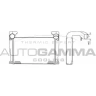 Интеркулер AUTOGAMMA 1271117118 404462 E3GN04 5 EROA5A