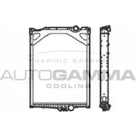 Радиатор охлаждения двигателя AUTOGAMMA KM 9LS 404986 1271117794 USAX3CQ