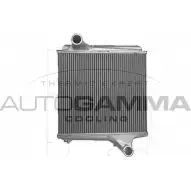 Интеркулер AUTOGAMMA 1271118062 XJI7TF 8ZP 59 405514