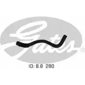 Патрубок радиатора, шланг GATES 3Z 4FYK 1272196888 02-0877 EFP1CV