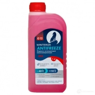 Антифриз WINTERIZE I F4MY WAG12RD1 1439708394