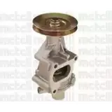 Водяной насос, помпа WILMINK GROUP WG1790053 C6WH8 ZK CANW 1274104053