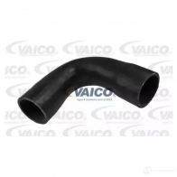 Патрубок интеркулера VAICO F6C RM 4046001788574 V22-1100 1560861