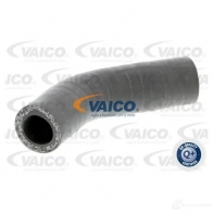 Патрубок интеркулера VAICO Y MNP7C0 4046001689765 1561617 V24-0631 - Изображение 3