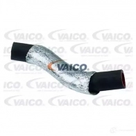 Патрубок интеркулера VAICO V25-0950 U 8XXD 4046001689789 Ford C-Max 1 (CB3, DM2) Минивэн 1.6 Duratorq TDCi 101 л.с. 2007 – 2010