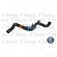Патрубок интеркулера VAICO 4046001786891 1561707 PU 3KJ0 v240725 - Изображение 2