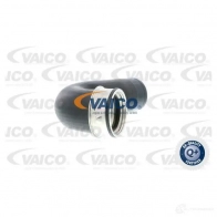 Патрубок интеркулера VAICO V10-2864 4046001604430 Z QCTXLH Audi A4 (B5) 1 Седан 1.9 Tdi Quattro 110 л.с. 1996 – 2000