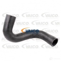 Патрубок интеркулера VAICO 1561719 V24-0737 4046001787003 11Y EM8 - Изображение 2
