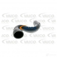 Патрубок интеркулера VAICO V10-2917 0X SK8 Audi A4 (B6) 2 Универсал 1.9 Tdi 101 л.с. 2001 – 2004 4046001604881