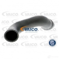 Патрубок интеркулера VAICO V10-3828 4046001688829 0VM OPQ Audi A4 (B7) 3 Кабриолет