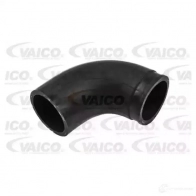 Патрубок интеркулера VAICO Ford Focus 1 Хэтчбек 1.8 TDCi 100 л.с. 2002 – 2004 4046001787089 1W5X Q5 V25-1012