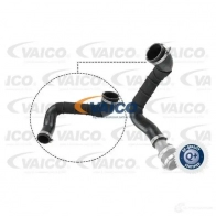 Патрубок интеркулера VAICO 4046001788451 V25-1049 Ford Focus 3 (CB8) Хэтчбек 2.0 TDCi 140 л.с. 2010 – 2024 Y NWI3