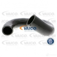 Патрубок интеркулера VAICO V24-0769 Q46AS WE 4046001836619 Fiat Panda (312, 519) 3 Хэтчбек 1.3 D Multijet 75 л.с. 2012 – 2025