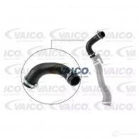 Патрубок интеркулера VAICO Ford Fiesta 5 (CBK, J) 2002 – 2008 1R 7QZ V25-1026 4046001786174