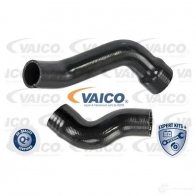 Патрубок интеркулера VAICO V24-0987 ZXU BCXI Fiat Doblo (263) 2 Кабина с шасси 1.3 D Multijet 90 л.с. 2010 – 2025 4046001918735