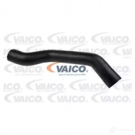 Патрубок интеркулера VAICO 1561662 4046001787508 OGD5Z D V24-0680