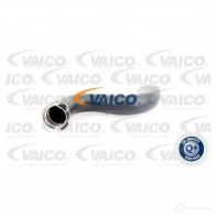 Патрубок интеркулера VAICO 1554344 W3M XQF V10-3778 4046001688416