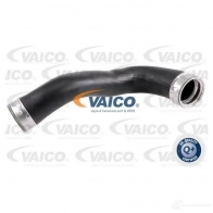 Патрубок интеркулера VAICO 1554384 V10-3818 4046001688744 OQ 3VLZE