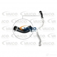 Патрубок интеркулера VAICO Ford Mondeo 4 (CA2, BA7) Седан 1.8 TDCi 125 л.с. 2007 – 2015 V25-1487 O1IN 1B1