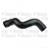 Патрубок интеркулера VAICO Audi A4 (B6) 2 Универсал 1.9 Tdi 101 л.с. 2001 – 2004 V10-4392 4046001787355 64 QMKRM