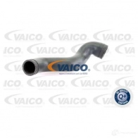 Патрубок интеркулера VAICO 1554858 V10-4392 4046001787355 64 QMKRM - Изображение 2