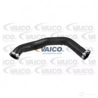 Патрубок интеркулера VAICO Ford Transit 7 (FD) Автобус 2.4 TDCi 115 л.с. 2006 – 2014 V25-1022 4046001786136 1BCE V
