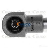 Амортизатор капота VAICO 1557634 4046001490576 D1F6 F V20-0984 - Изображение 3