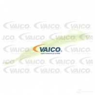 Успокоитель цепи ГРМ VAICO V20-3135 33PJ YX Bmw 1 (F20, F21) 2 2010 – 2018 4046001821912