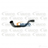 Патрубок вентиляции картерных газов VAICO 8LVEOJ W Volkswagen Bora (A4, 1J2) 4 Седан 1.6 102 л.с. 2000 – 2005 4046001466854 V10-9768