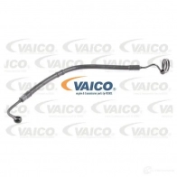 Шланг Гур VAICO Audi A4 (B6) 2 Универсал 1.8 T Quattro 170 л.с. 2001 – 2004 Q W2W9EI 4046001913389 V10-1785