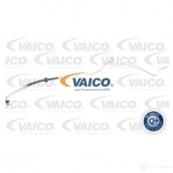 Шланг Гур VAICO Mercedes C-Class (W203) 2 Седан 2.6 C 240 (2061) 170 л.с. 2000 – 2007 3PXTNY Z 4046001480201 V30-1474