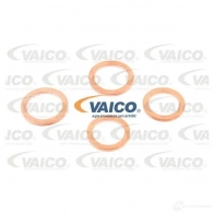 Шланг Гур VAICO V10-4643 1555097 B HMSZWF 4046001817236 - Изображение 2