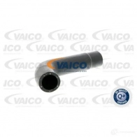 Шланг радиатора VAICO V10-3202 8I67X MT 4046001634499 1553813