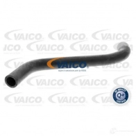 Шланг радиатора VAICO V10-0051 K4C TWV1 1551022 4046001142598