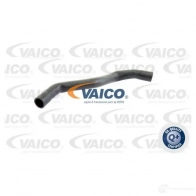 Шланг радиатора VAICO 1551039 V10-0071 4046001142819 F S37RY
