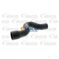 Шланг радиатора VAICO 0CAMLF T 4046001324260 V40-0368 1569128