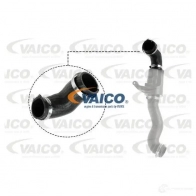 Шланг радиатора VAICO 1437939970 X7ZW M97 V20-3626